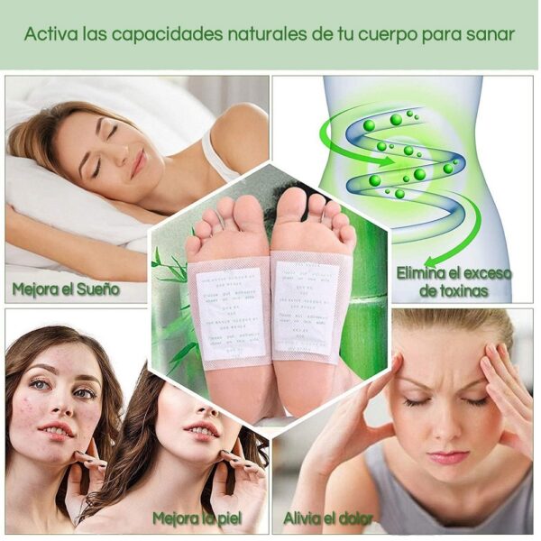 Sk00004351_2 Sk00004351_2