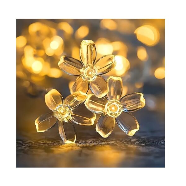 Sk00006050_4-1.jpg Sk00006050_4-1.jpg