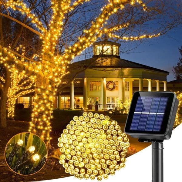 Sk00006260_2.jpg Sk00006260_2.jpg