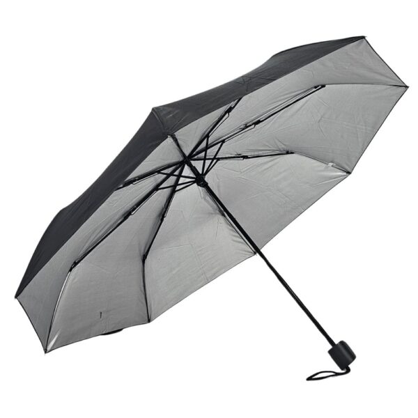 Sk00006624_3-1.jpg Sk00006624_3-1.jpg