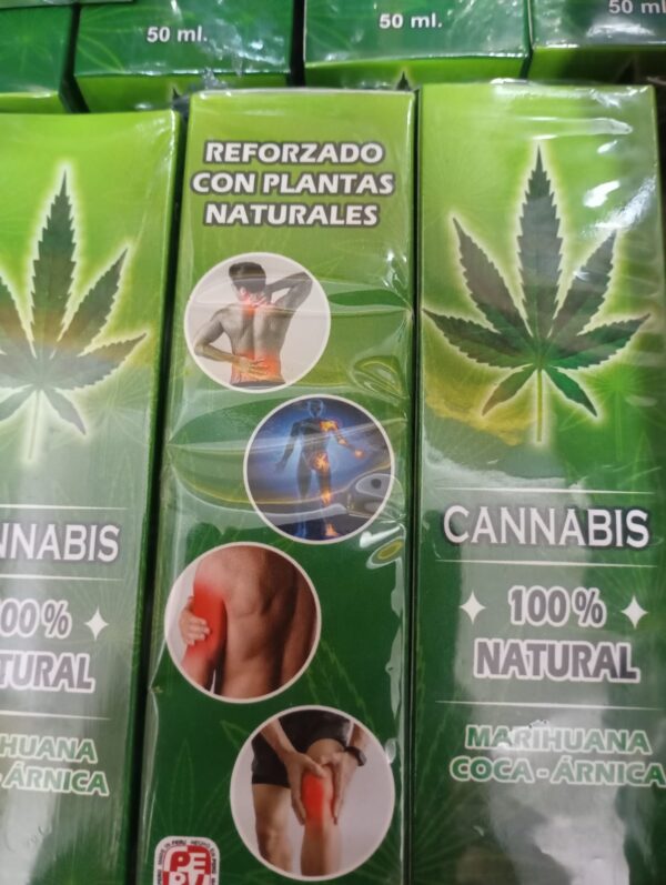 WhatsApp-Image-2025-09-02-at-17.32.02-1.jpeg WhatsApp-Image-2025-09-02-at-17.32.02-1.jpeg