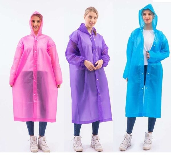 Sk00002645_1.jpg Sk00002645_1.jpg