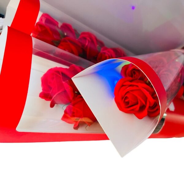 Sk00006600_6.jpg Sk00006600_6.jpg