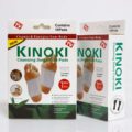 kinpki-2.jpg